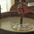 Le fromage de Salers
