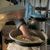 Le fromage de Salers