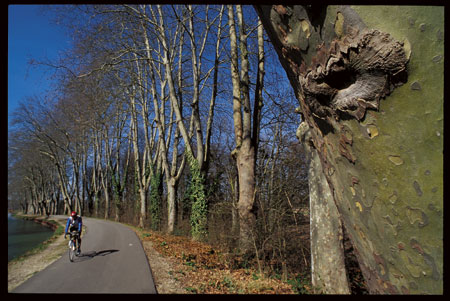Canal de midi