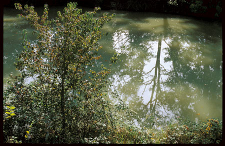 Canal de midi
