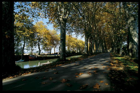 Canal de midi