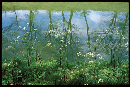 Canal de midi