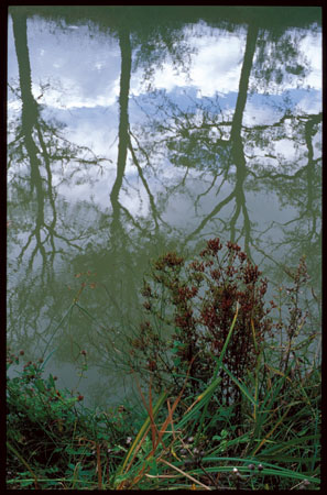 Canal de Midi