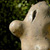 patate