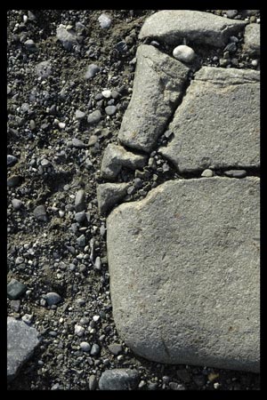 Natures humaines, anthropomorphisme